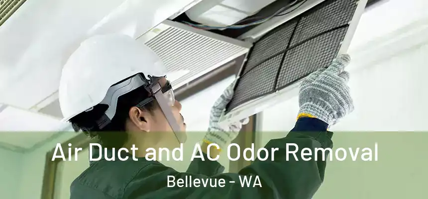  Air Duct and AC Odor Removal Bellevue - WA