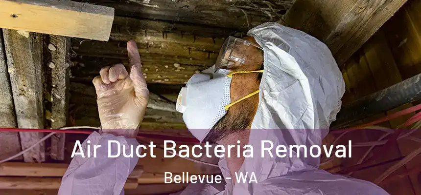 Air Duct Bacteria Removal Bellevue - WA