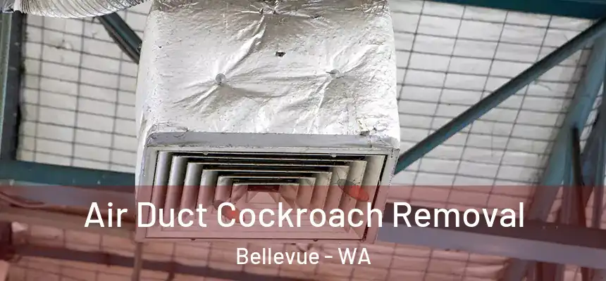 Air Duct Cockroach Removal Bellevue - WA
