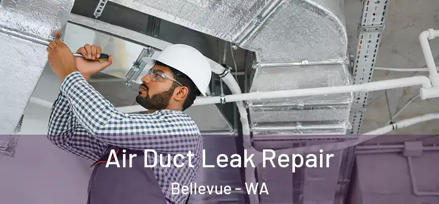 Air Duct Leak Repair Bellevue - WA