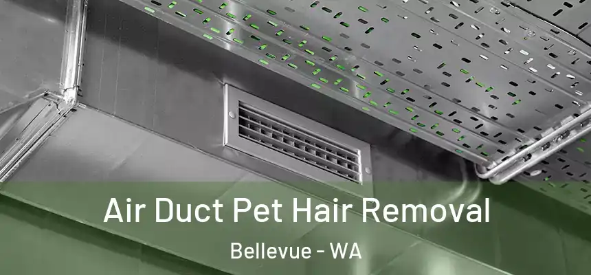 Air Duct Pet Hair Removal Bellevue - WA