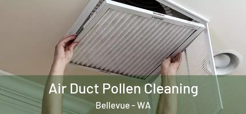 Air Duct Pollen Cleaning Bellevue - WA