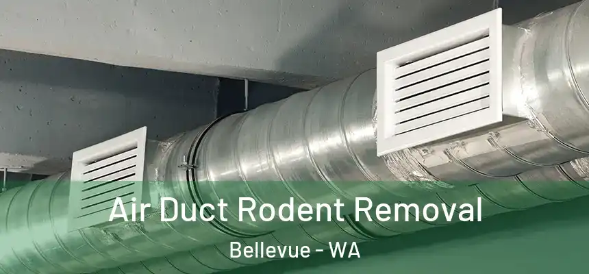 Air Duct Rodent Removal Bellevue - WA