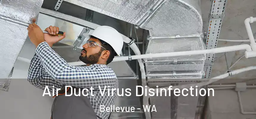 Air Duct Virus Disinfection Bellevue - WA