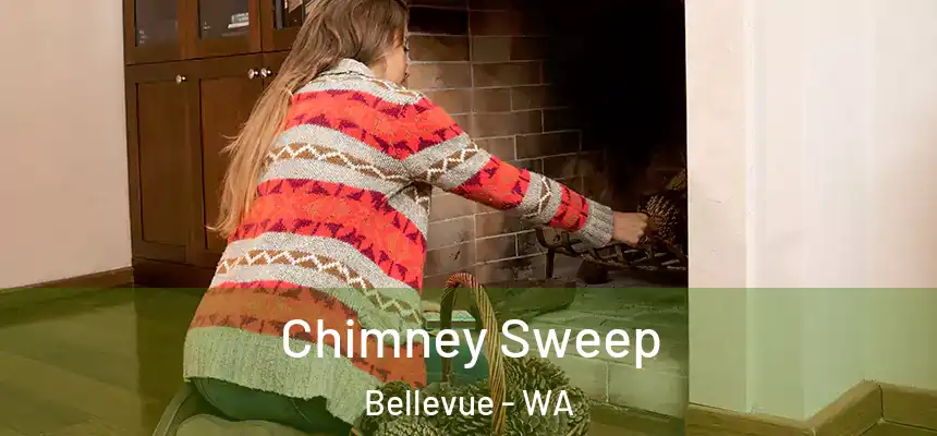  Chimney Sweep Bellevue - WA