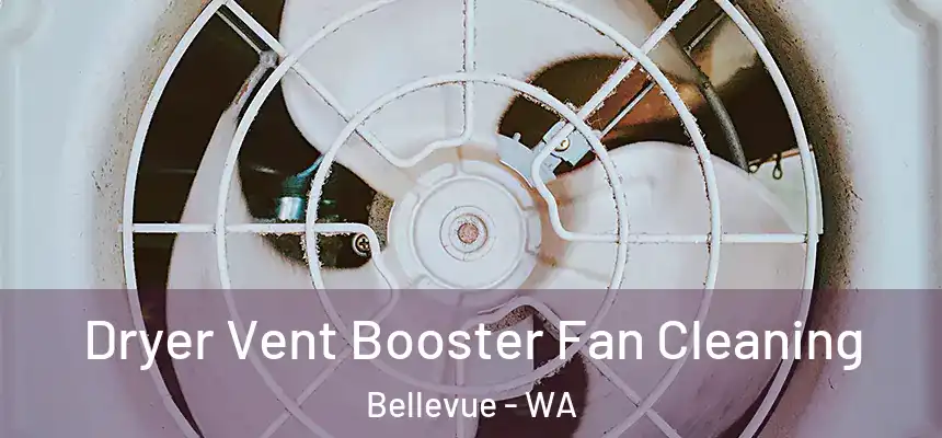 Dryer Vent Booster Fan Cleaning Bellevue - WA