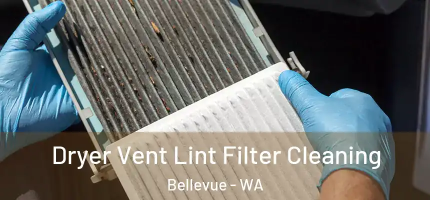 Dryer Vent Lint Filter Cleaning Bellevue - WA