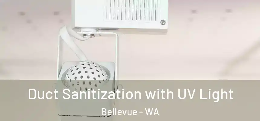 Duct Sanitization with UV Light Bellevue - WA