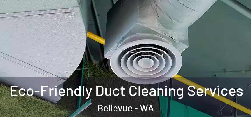 Eco-Friendly Duct Cleaning Services Bellevue - WA