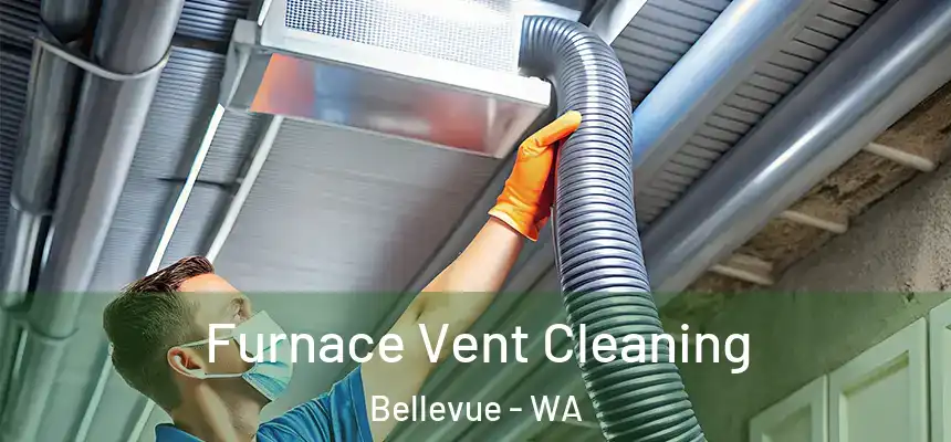 Furnace Vent Cleaning Bellevue - WA