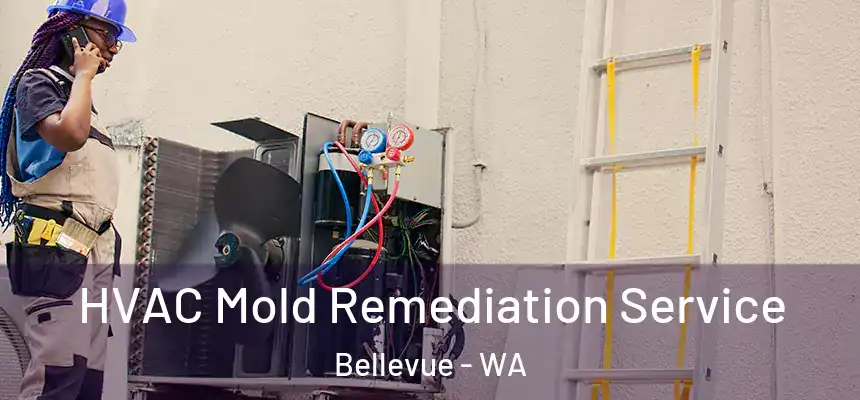  HVAC Mold Remediation Service Bellevue - WA