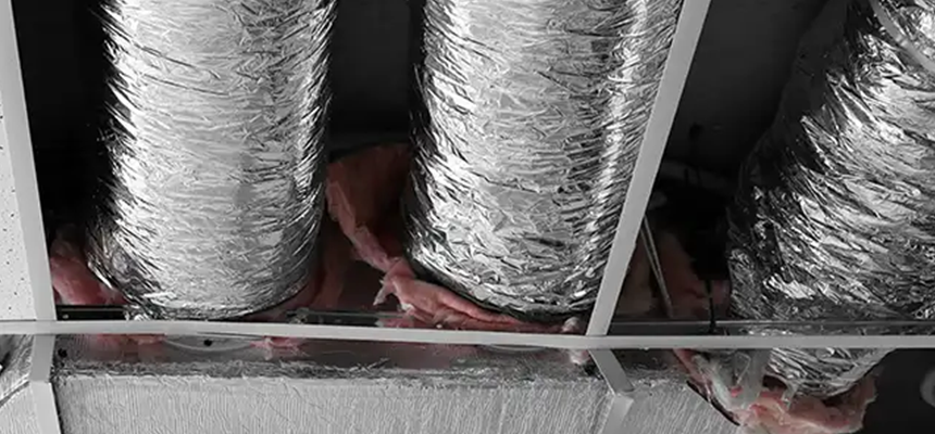 Scalable Commercial Multi‑Unit Dryer Vent Camera Inspection in Bellevue, WA