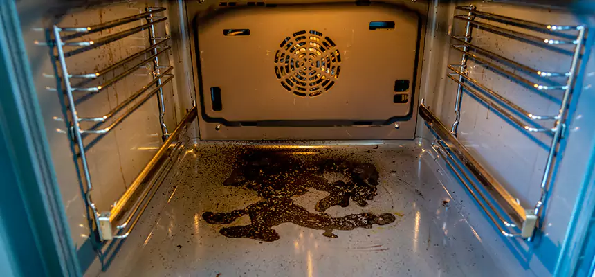 Our Dryer Vent Mold Cleaning Services in Bellevue, WA