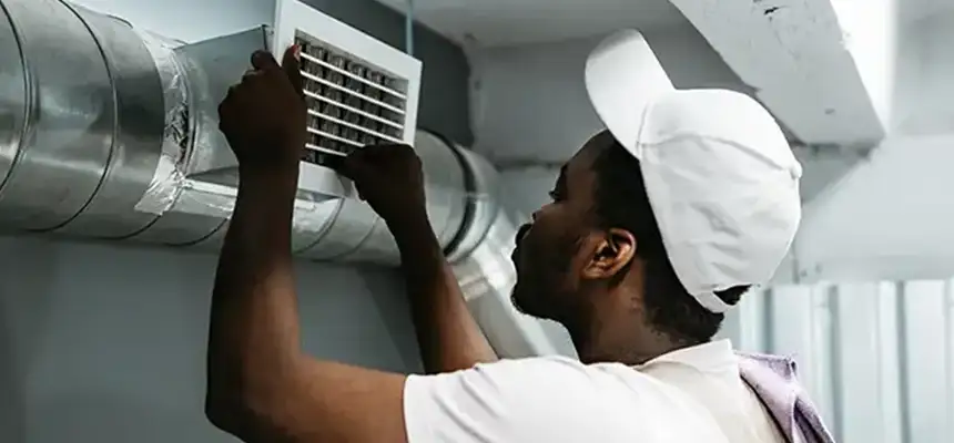 Our Licensed And Insured Cleaners in Bellevue, WA