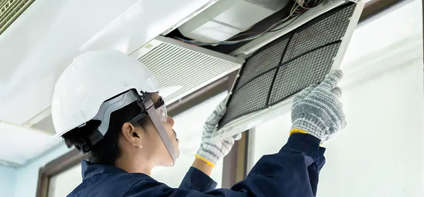 Our Lint Trap Cleaning Service Services in Bellevue, WA