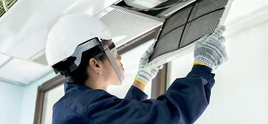 Our Mold & Mildew Removal from Air Ducts Services in Bellevue, WA