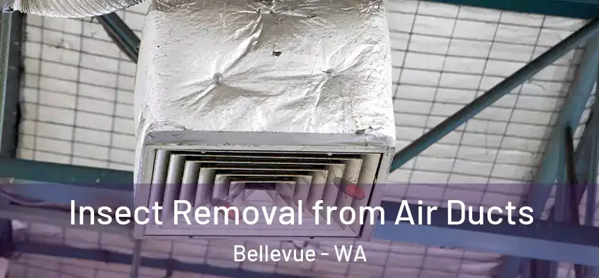 Insect Removal from Air Ducts Bellevue - WA