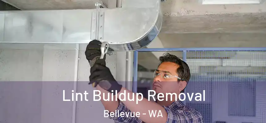 Lint Buildup Removal Bellevue - WA