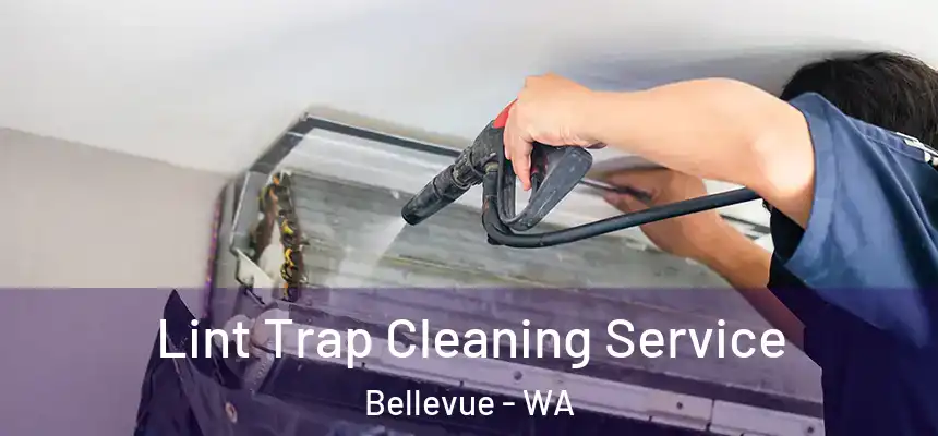 Lint Trap Cleaning Service Bellevue - WA