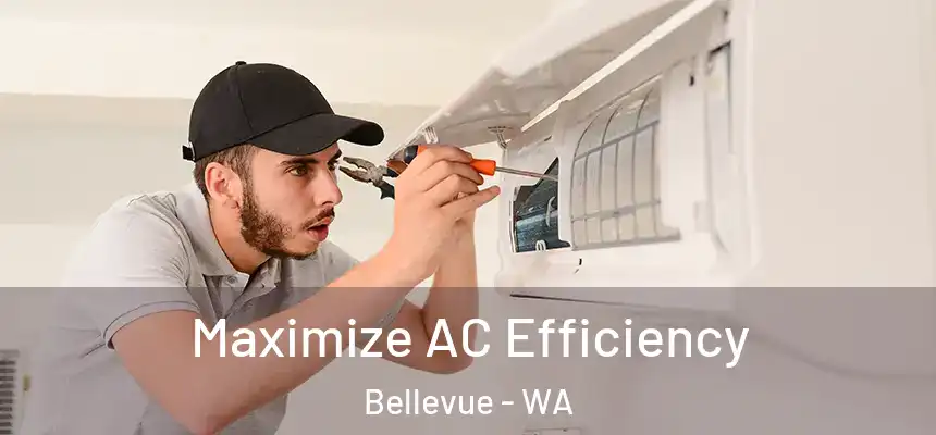 Maximize AC Efficiency Bellevue - WA