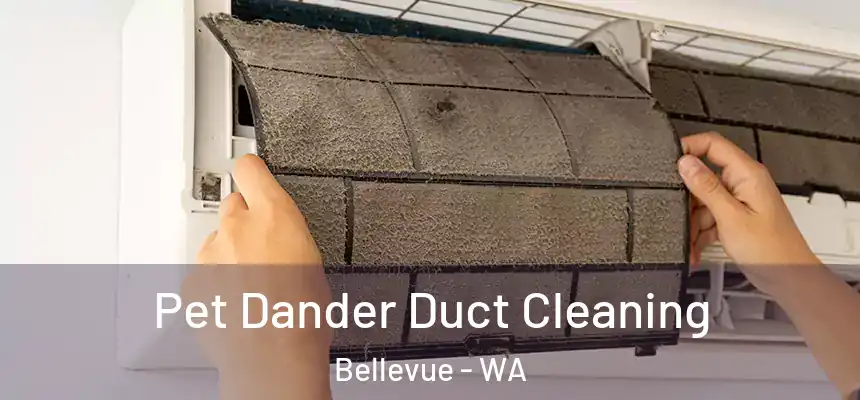  Pet Dander Duct Cleaning Bellevue - WA