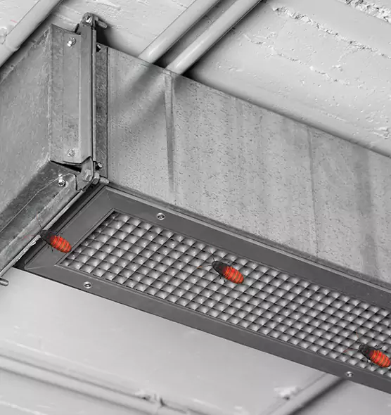 About Air Duct Cockroach Removal in Bellevue, WA