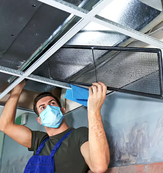 Professional Air Duct Pollen Cleaning in Bellevue, WA