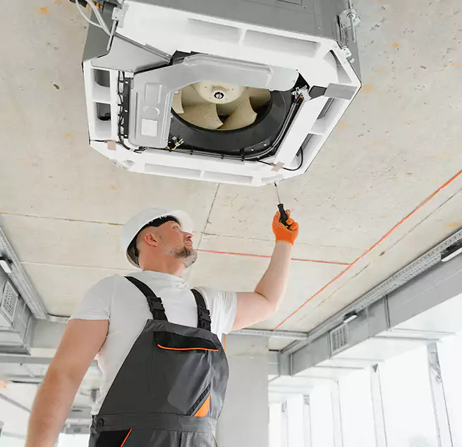 Why Homeowners & Businesses Trust Us in Bellevue, WA?