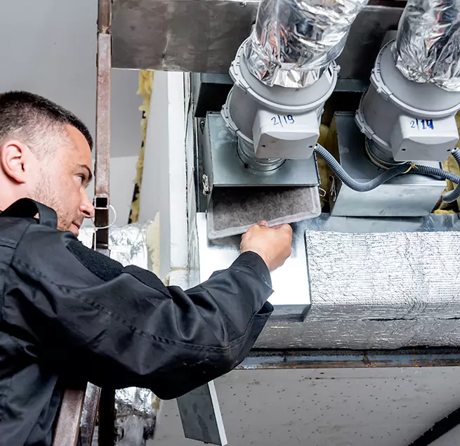 Why Homeowners & Businesses Trust Us in Bellevue, WA?