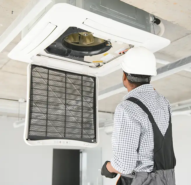 Why Homeowners & Businesses Trust Us in Bellevue, WA?