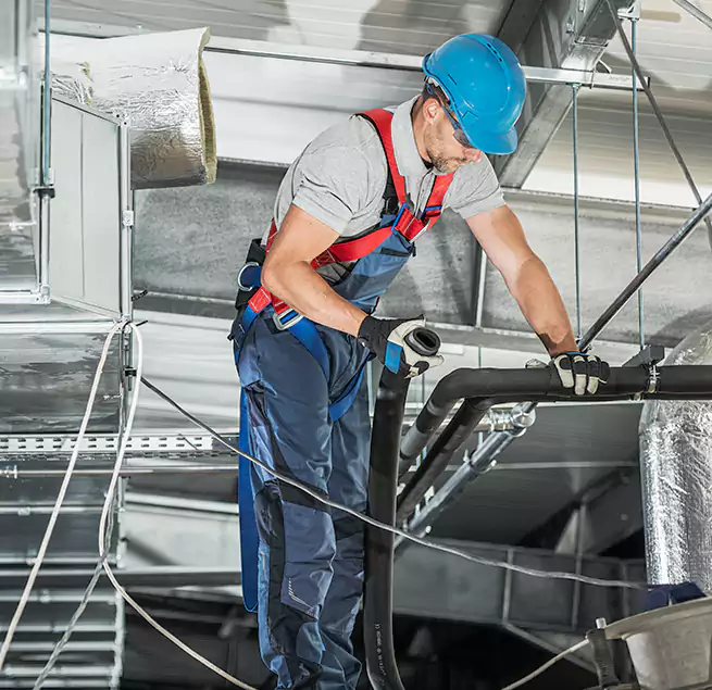 Why Homeowners & Businesses Trust Us in Bellevue, WA?