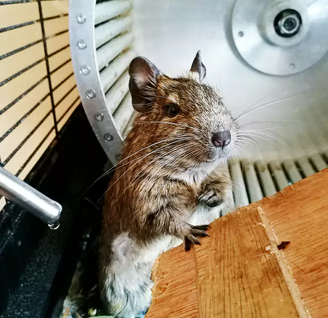 Why Homeowners & Businesses Trust Us Bellevue, WA?