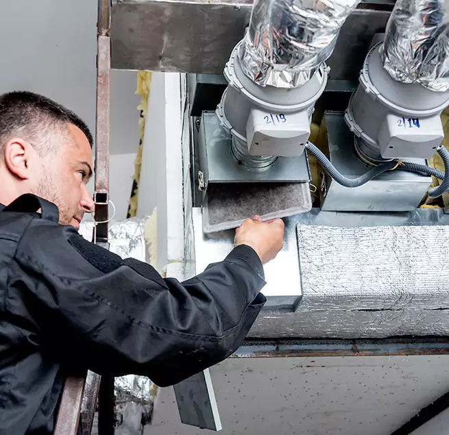 Why Homeowners & Businesses Trust Us in Bellevue, WA?