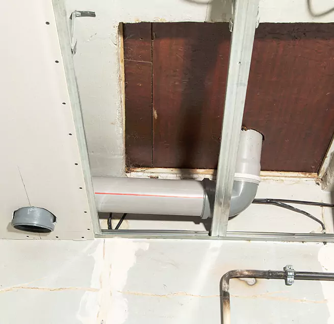 Why Homeowners & Businesses Trust Us in Bellevue, WA?