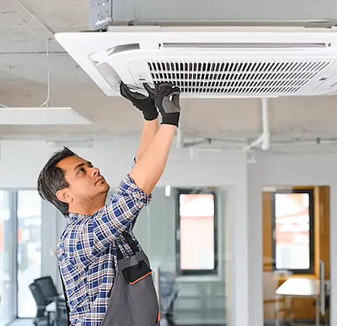 Why Homeowners & Businesses Trust Us in Bellevue, WA?