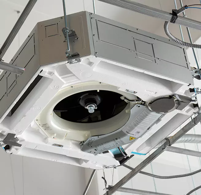 Why Homeowners & Businesses Trust Us in Bellevue, WA?