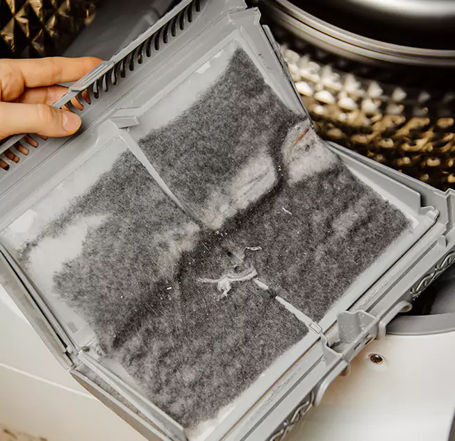 Why Homeowners & Businesses Trust Us Bellevue, WA?