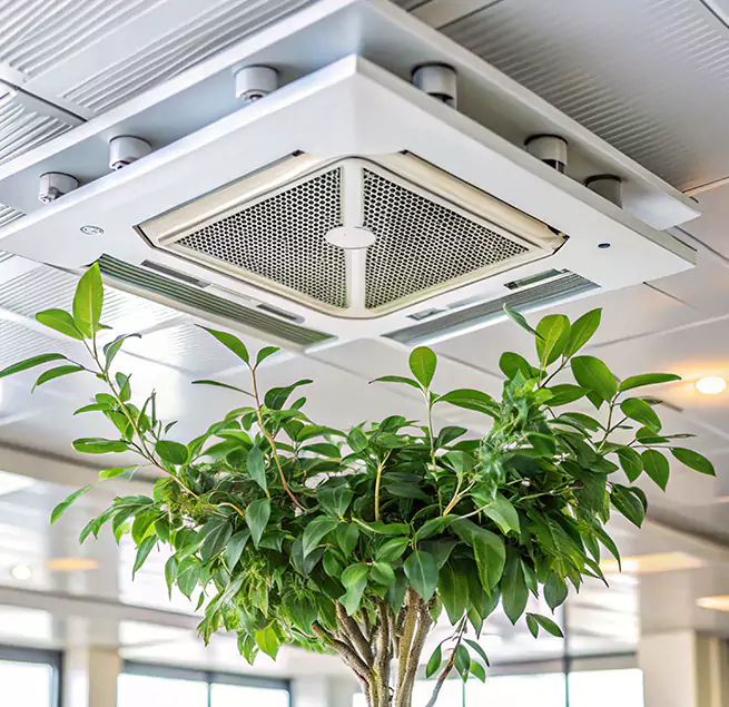 Why Homeowners & Businesses Trust Us in Bellevue, WA?