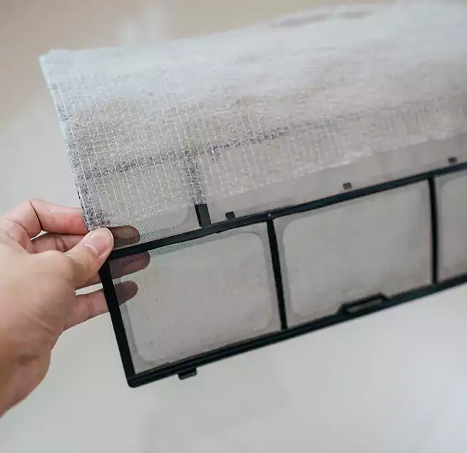 Why Homeowners & Businesses Trust Us in Bellevue, WA?