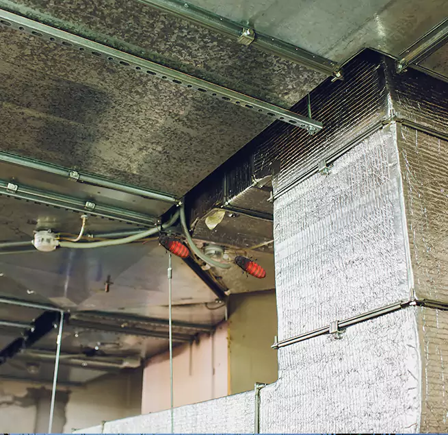 Why Homeowners & Businesses Trust Us Bellevue, WA?