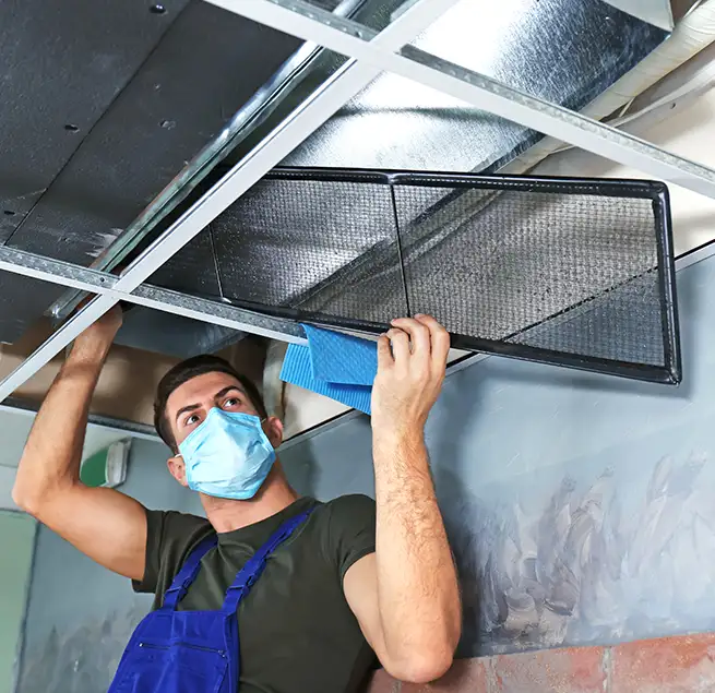 Why Homeowners & Businesses Trust Us in Bellevue, WA?