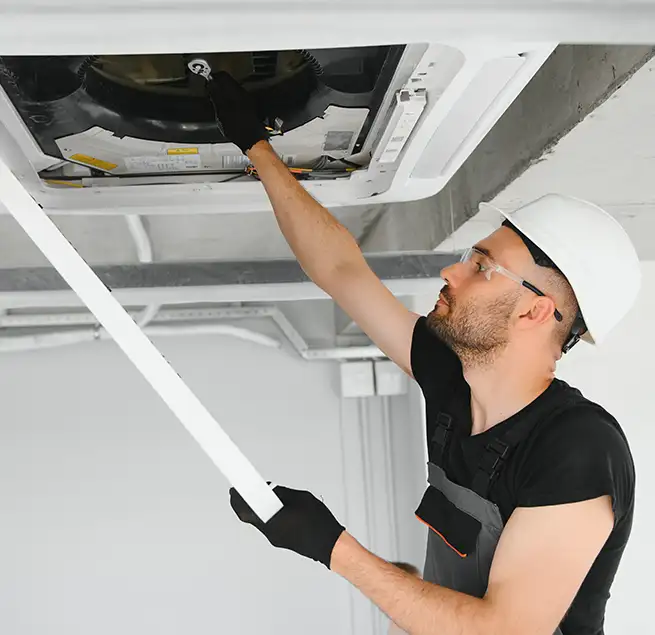 Why Homeowners & Businesses Trust Us in Bellevue, WA?