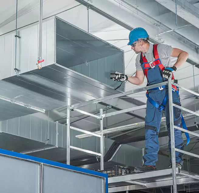 Why Homeowners & Businesses Trust Us in Bellevue, WA?