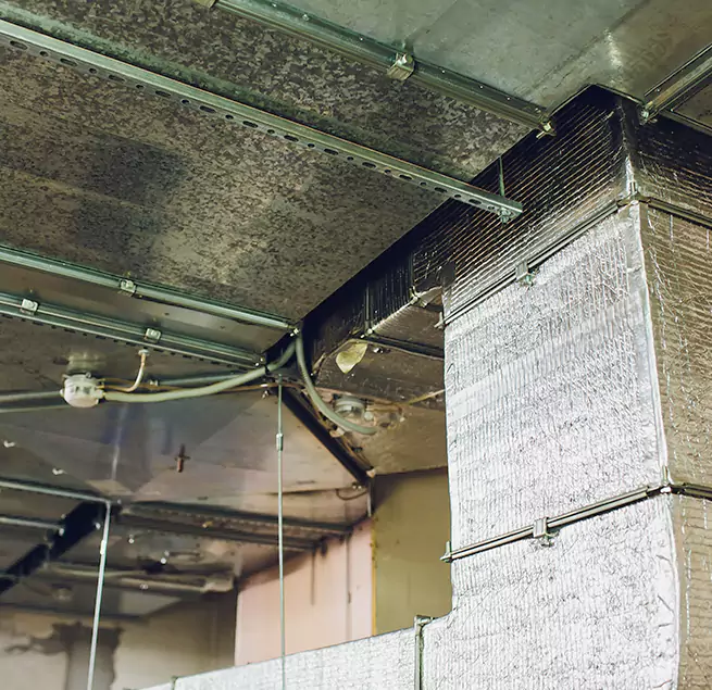 Why Homeowners & Businesses Trust Us in Bellevue, WA?