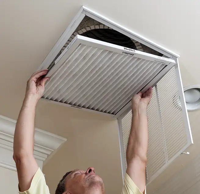 Why Homeowners & Businesses Trust Us in Bellevue, WA?