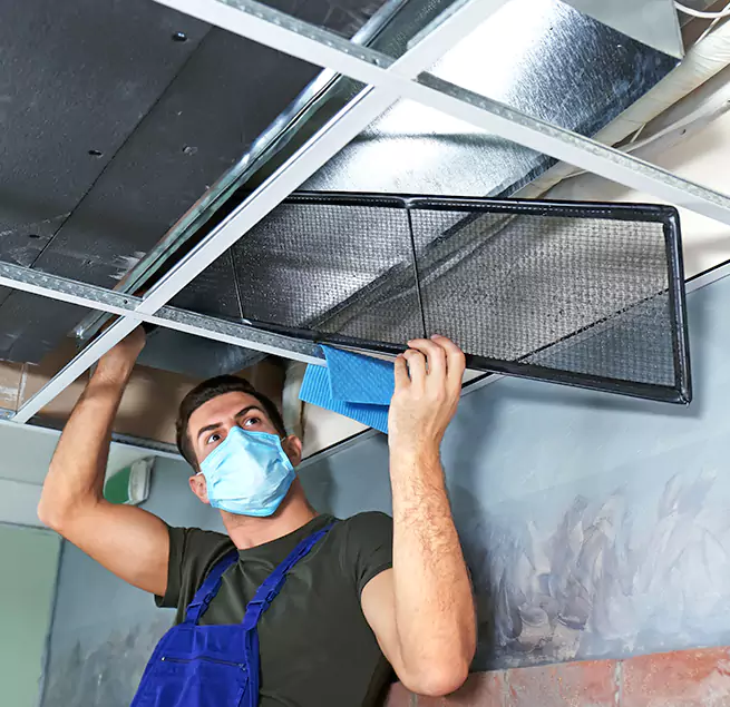 Why Homeowners Businesses Trust Us in Bellevue, WA?